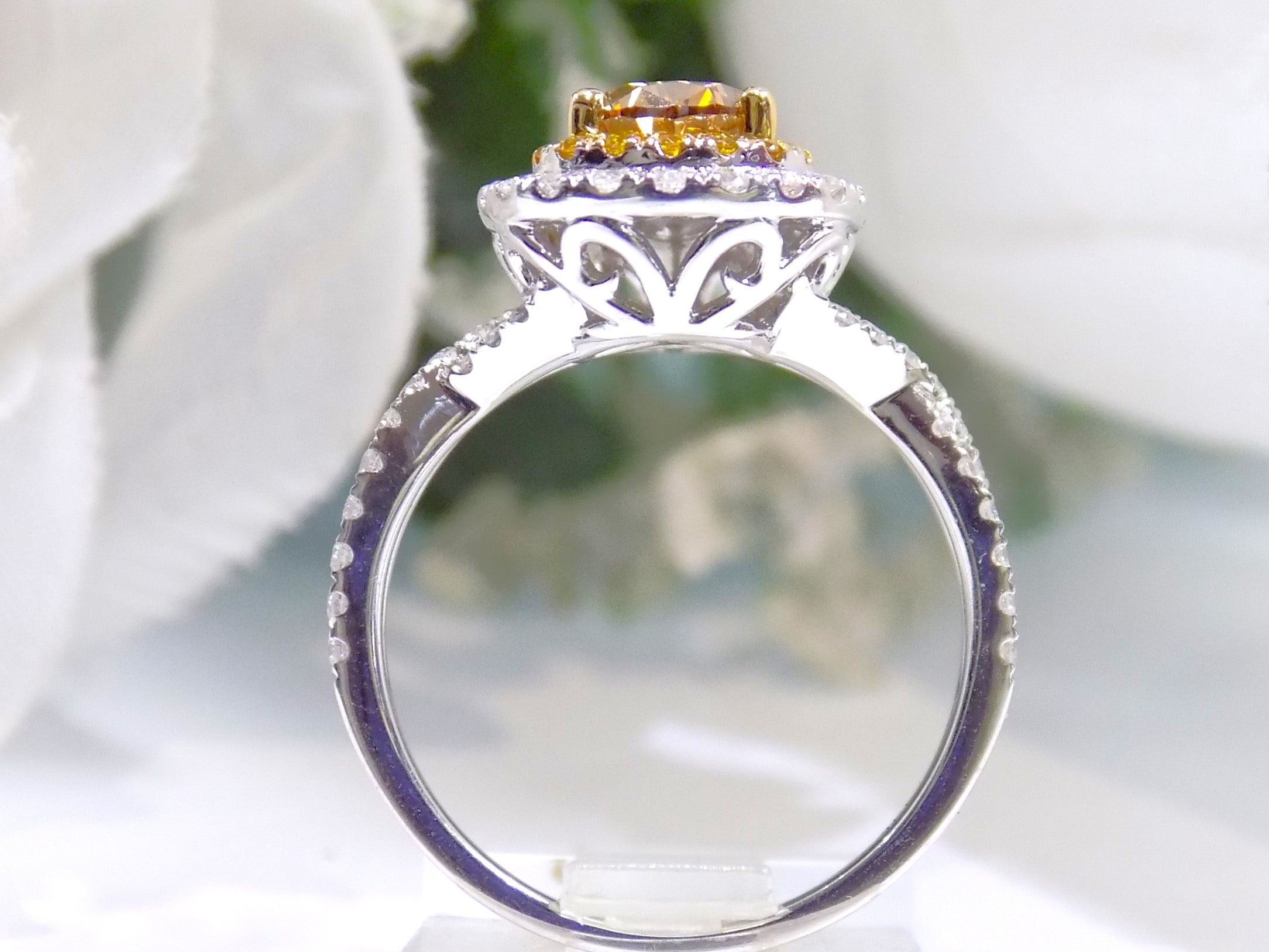 This is a side view of a 1.69ct total weight genuine natural pear shape chocolate diamond ring with canary yellow and white diamond accents in white gold with a white background.